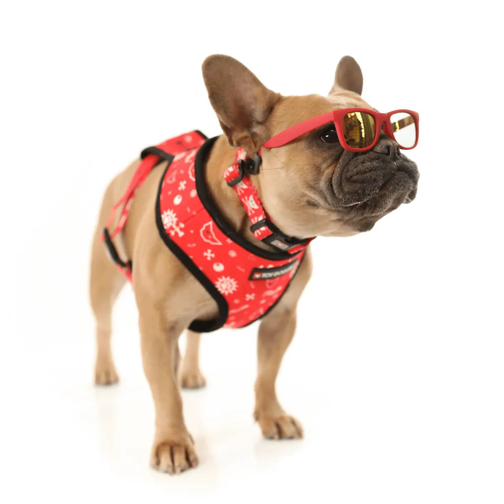Bad Doggie Dog Harness