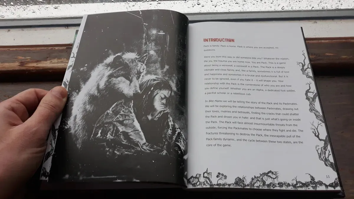 Bite Marks   PDF