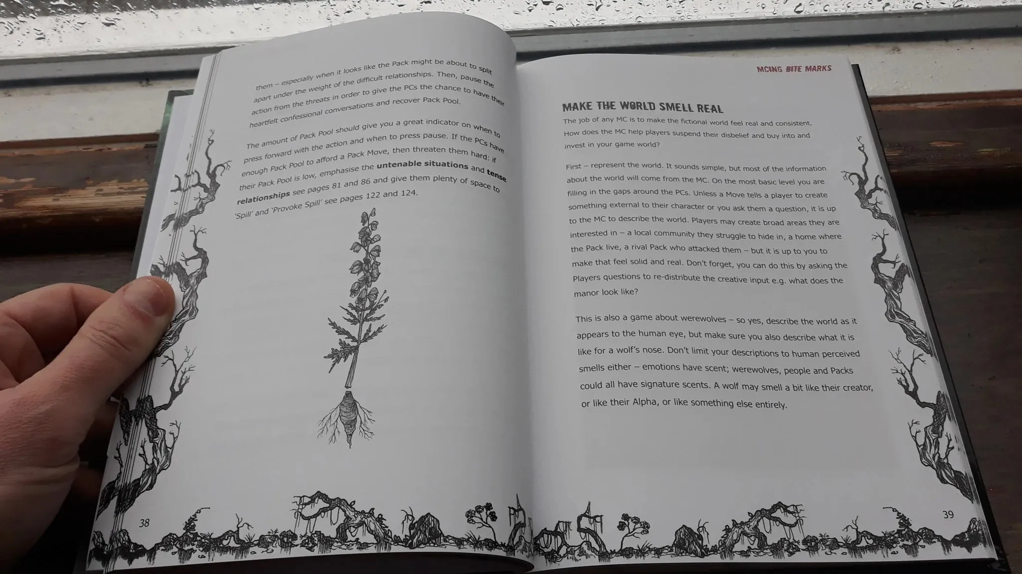 Bite Marks   PDF