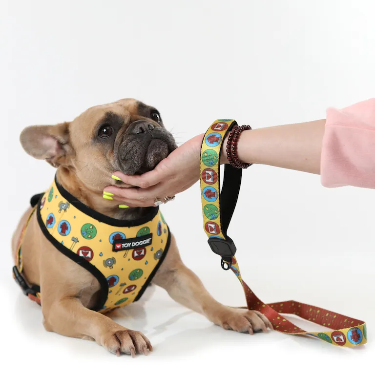 Certified Leg Lifter Pet Harness