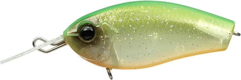 Evergreen Spin Craft
