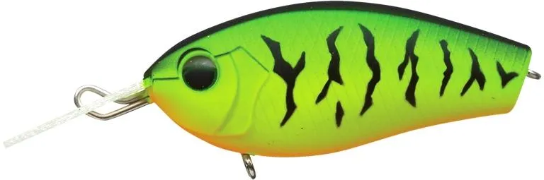 Evergreen Spin Craft