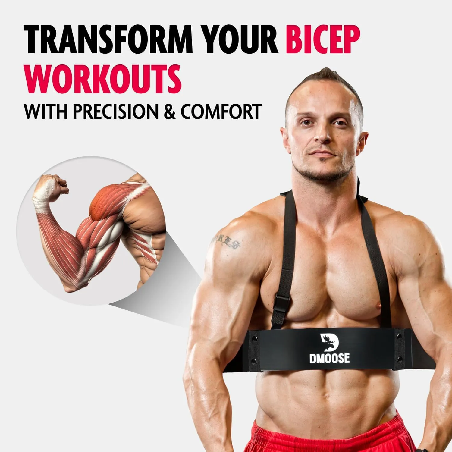 Fitness Arm Blaster for Biceps & Triceps, Premium Neck Padding Support with Adjustable Straps
