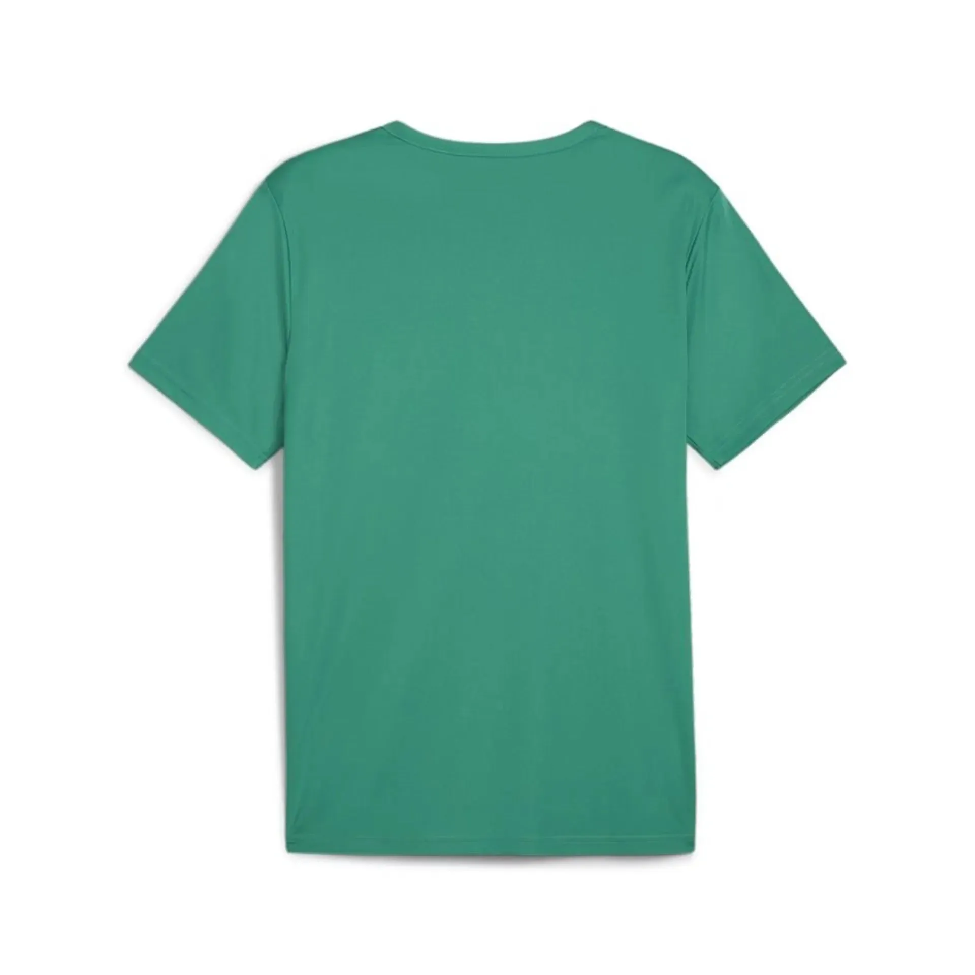 Football Shirt Puma teamRISE Matchday