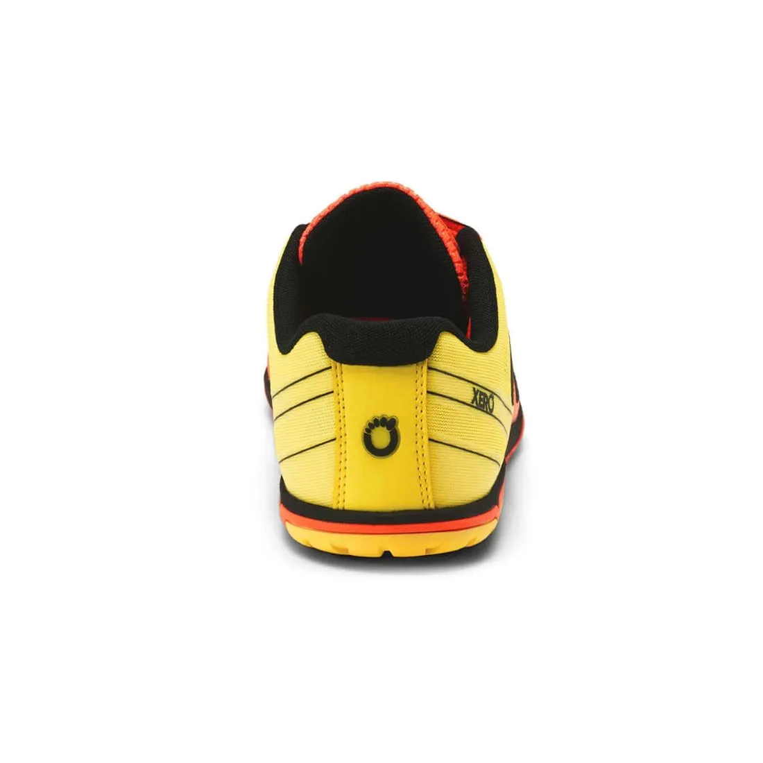 HFS II