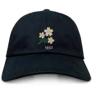 Nations of Rugby Japan Vintage Dad Cap