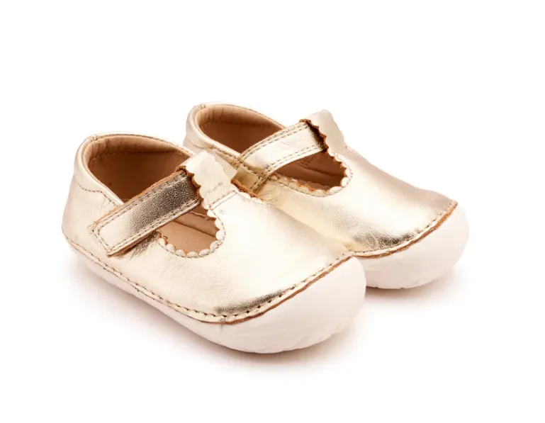 Pave Classic-T - Gold/Snow