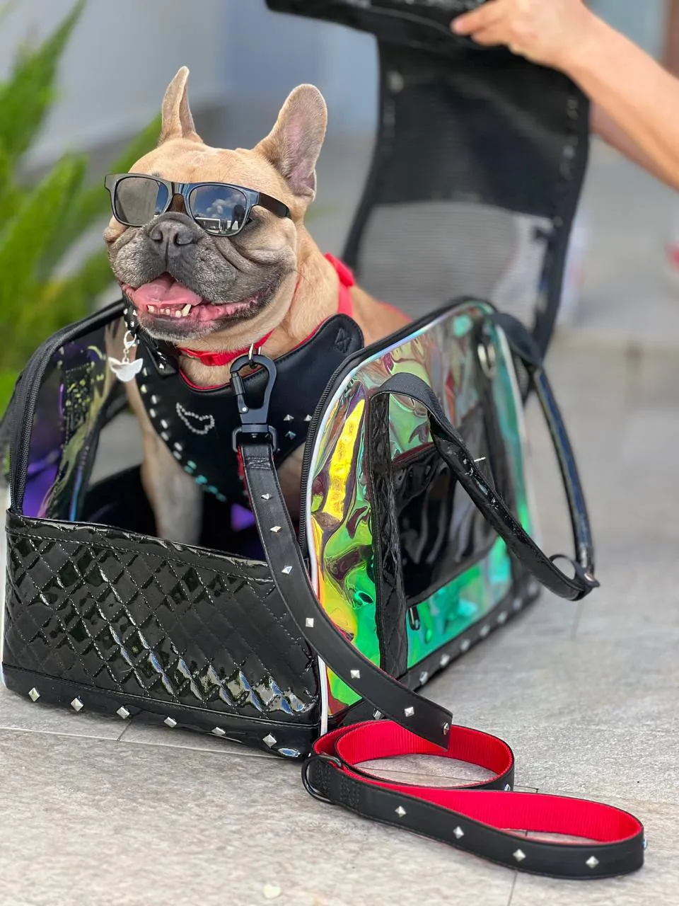 Posh Tail Doggie - Faux Leather Pet Harness