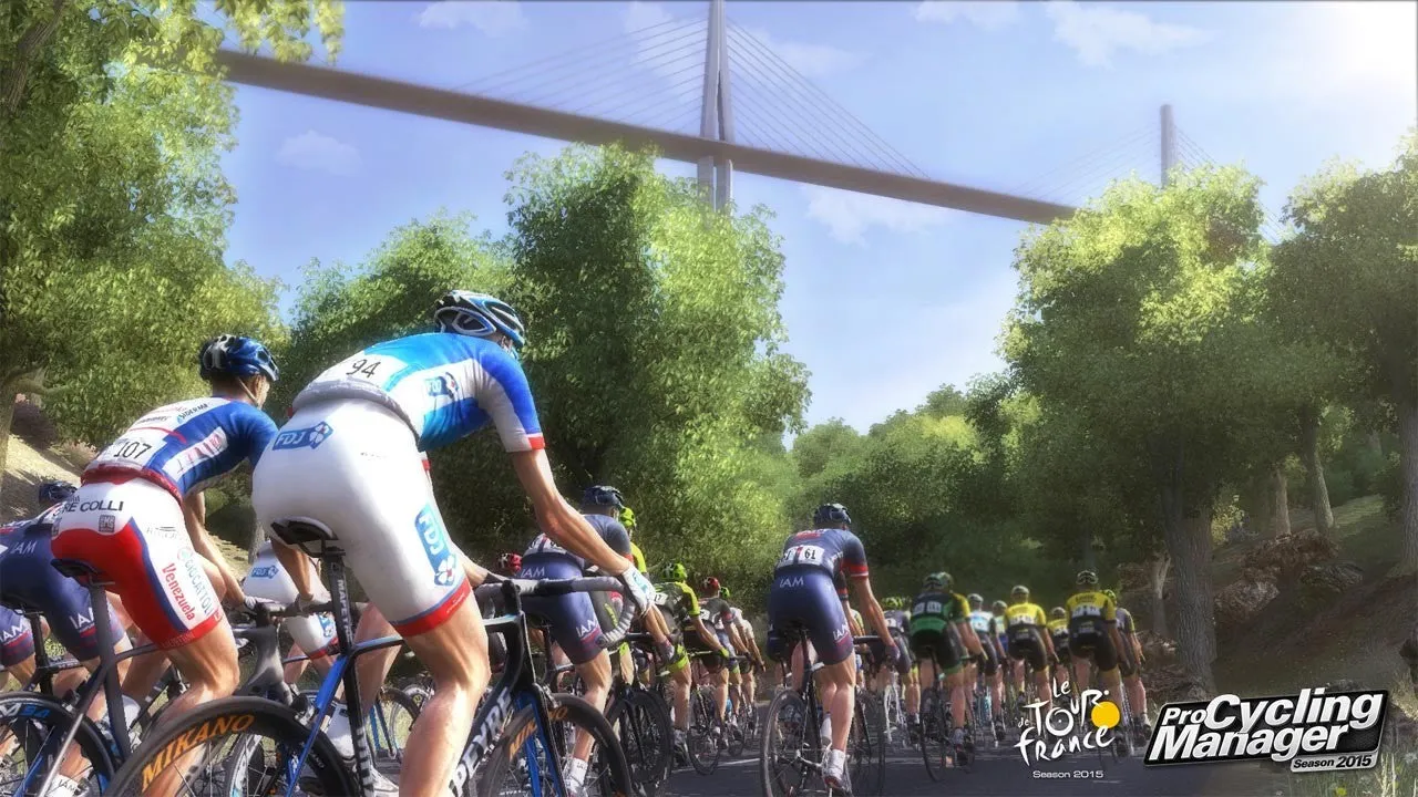 Pro Cycling Manager 2015 (PC)