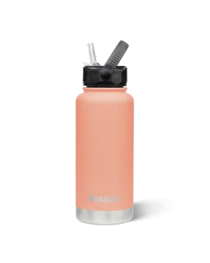 Project Pargo 950mL Insulated Bottle w/ Straw Lid - Coral Pink