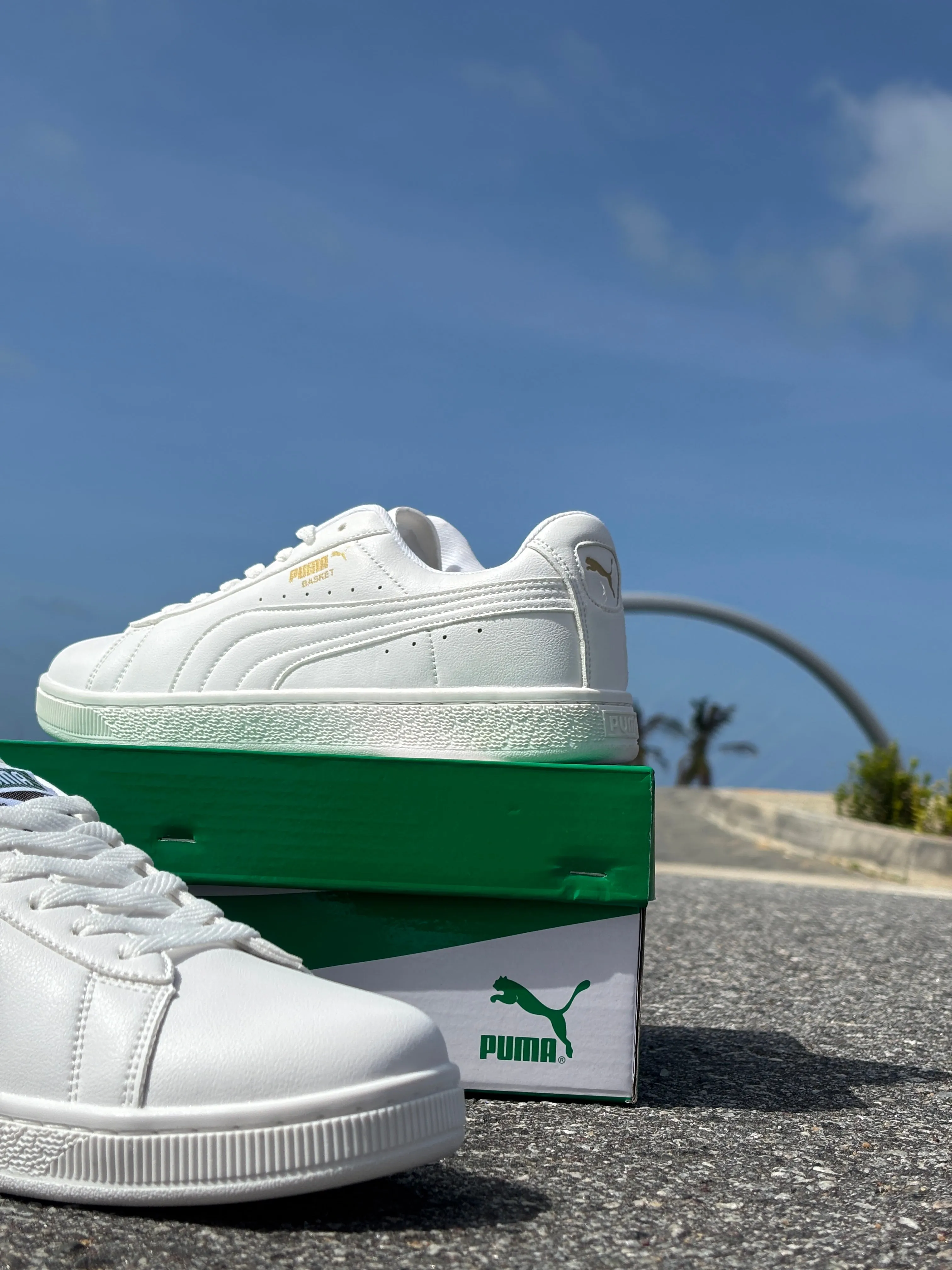 PUMA V6 Low
