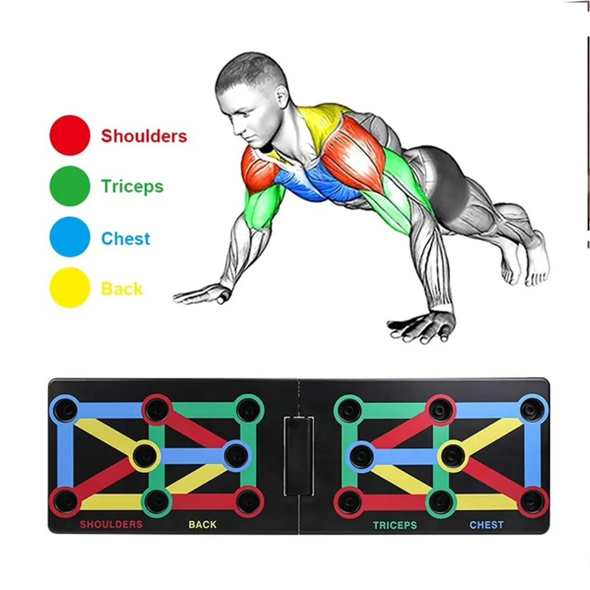 Push Up Board Training System