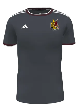 QUEENSLAND FOOTBALL CULTURE Adidas Mi Competition Men's Jersey (GK6321-QFC-GREY-2404)