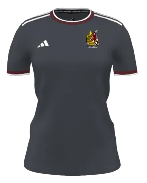 QUEENSLAND FOOTBALL CULTURE Adidas Mi Competition Women's Jersey (GK6319-QFC-GREY-2404)