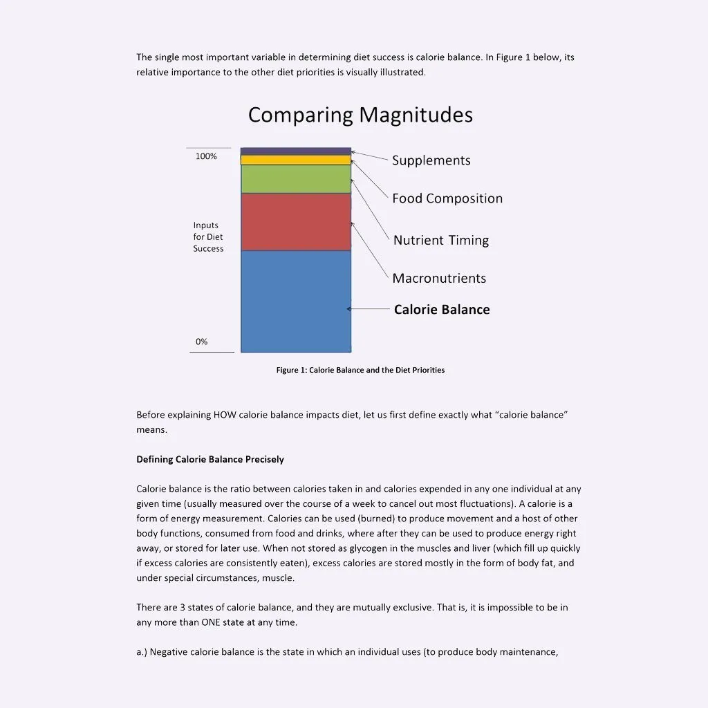 Renaissance Periodization - The Renaissance Diet eBook