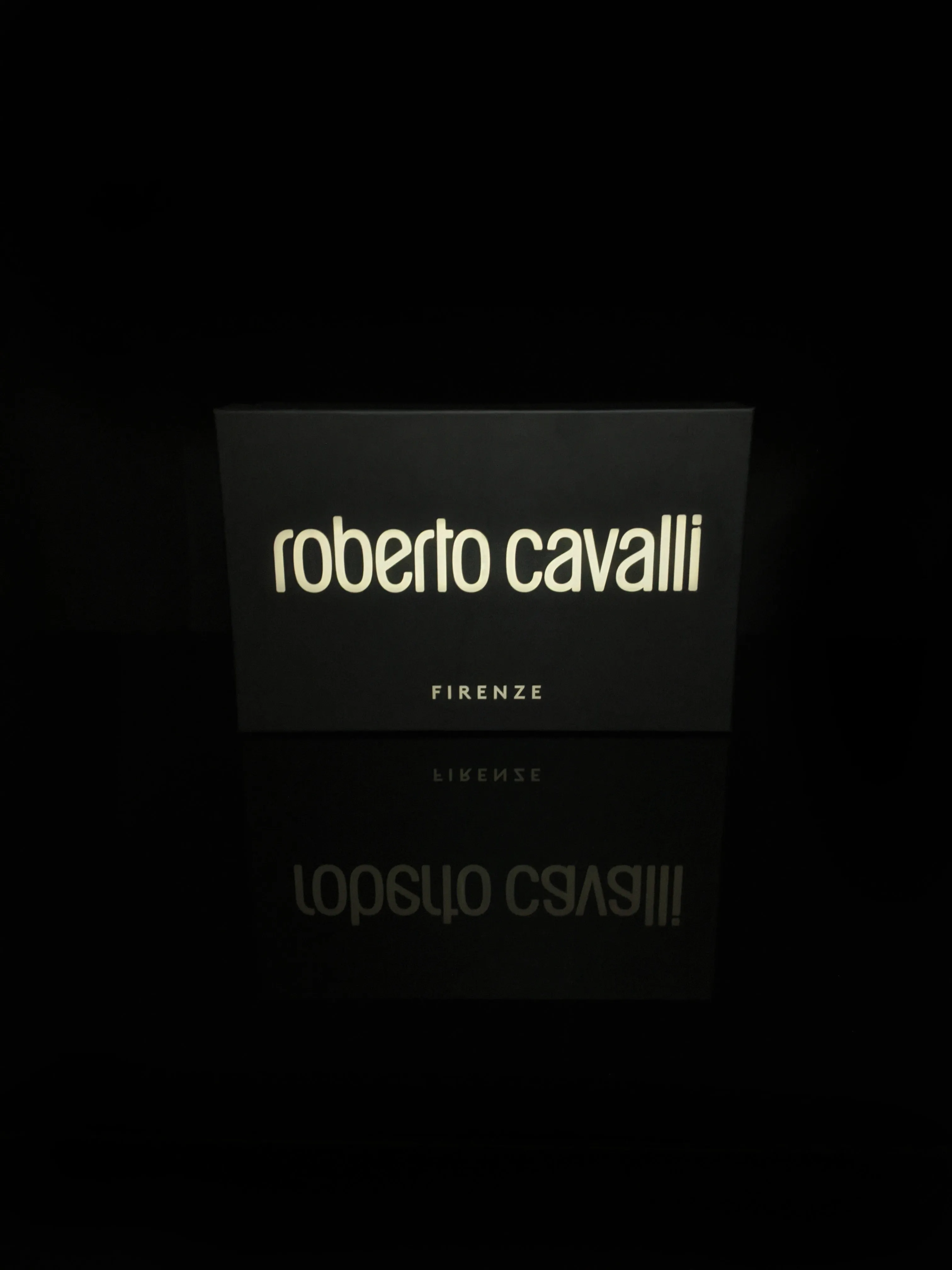 Roberto Cavalli Logo Navy Leather Sneakers