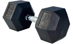 Rubber Hex Dumbbell- 75lbs