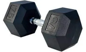 Rubber Hex Dumbbell- 75lbs