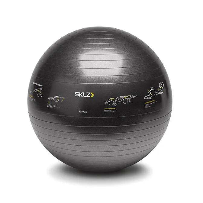 Trainer Ball