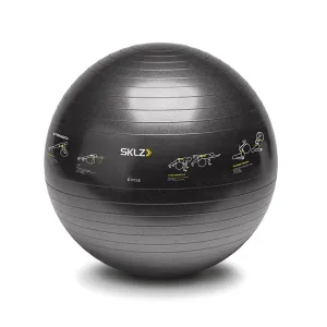 Trainer Ball