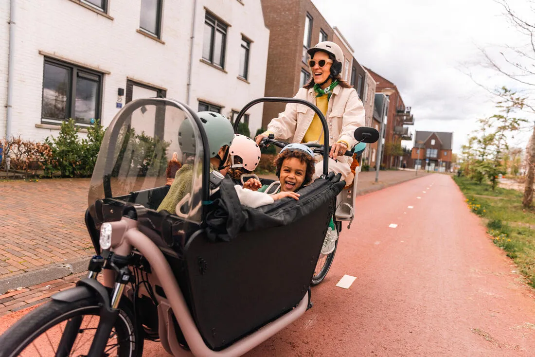 Velo cargo electrique biporteur famille f900e taupe