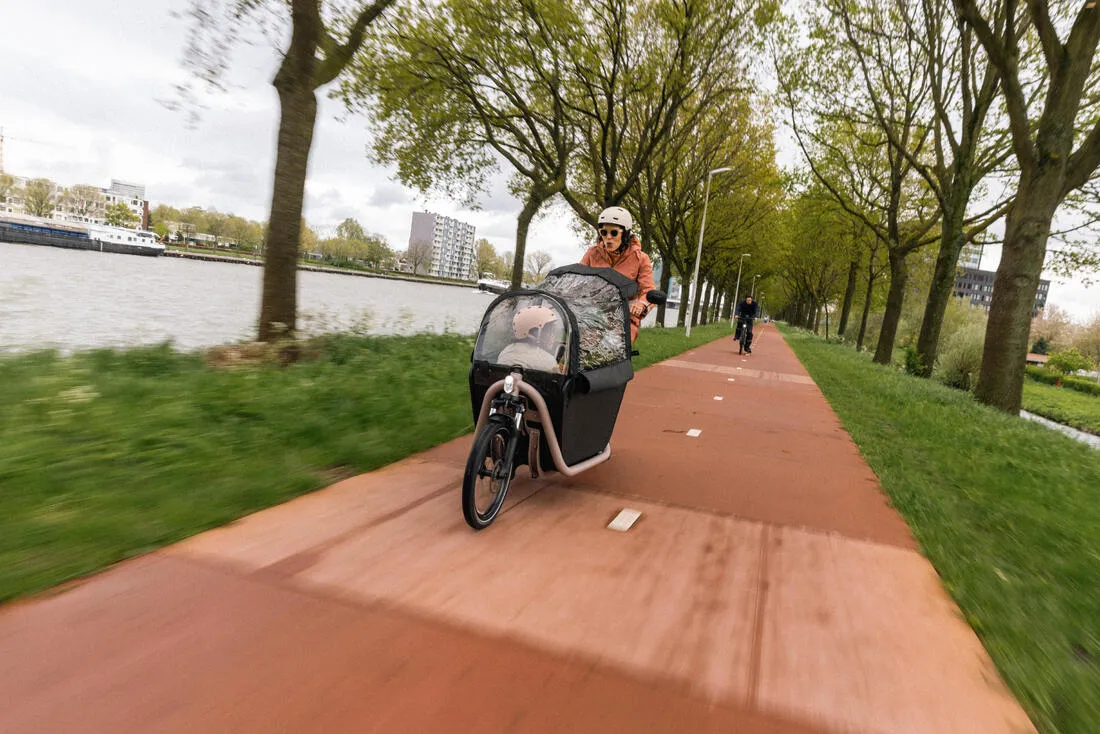 Velo cargo electrique biporteur famille f900e taupe
