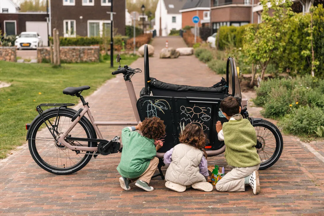 Velo cargo electrique biporteur famille f900e taupe