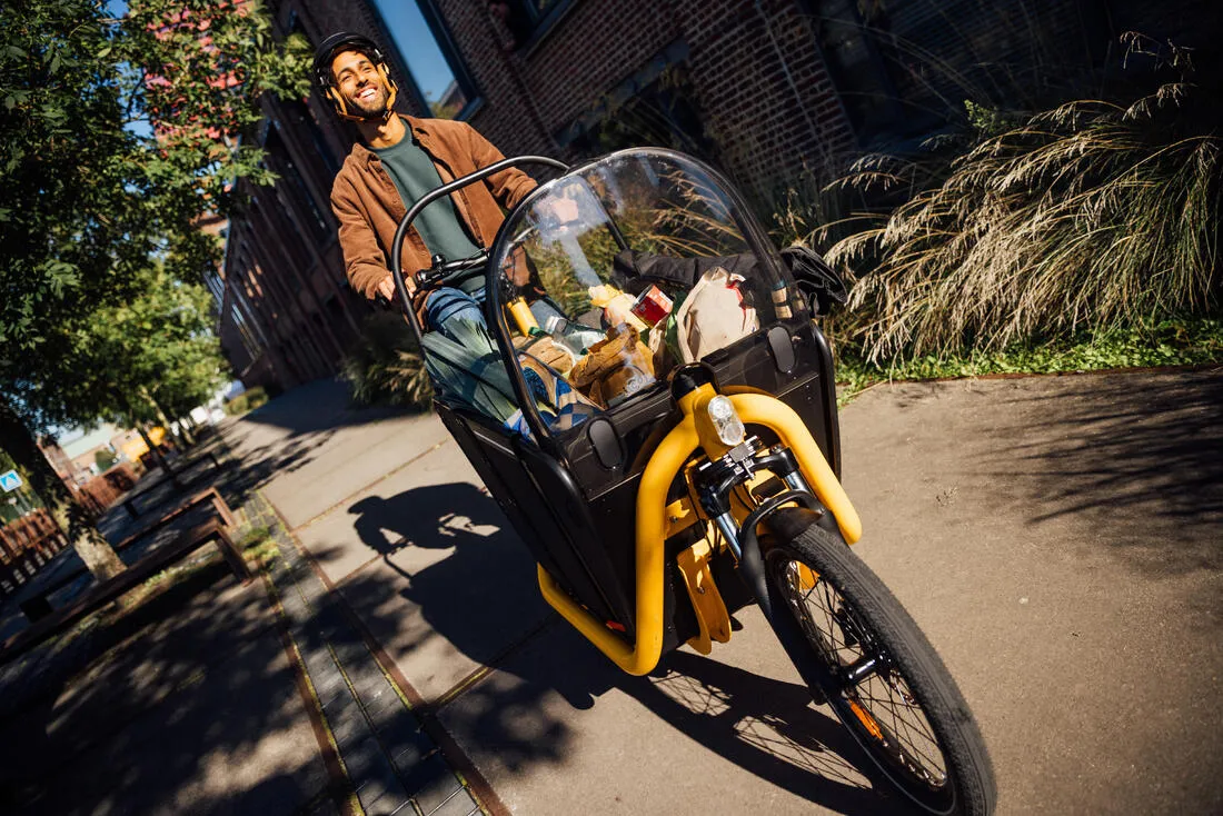 Velo cargo electrique biporteur famille f900e taupe