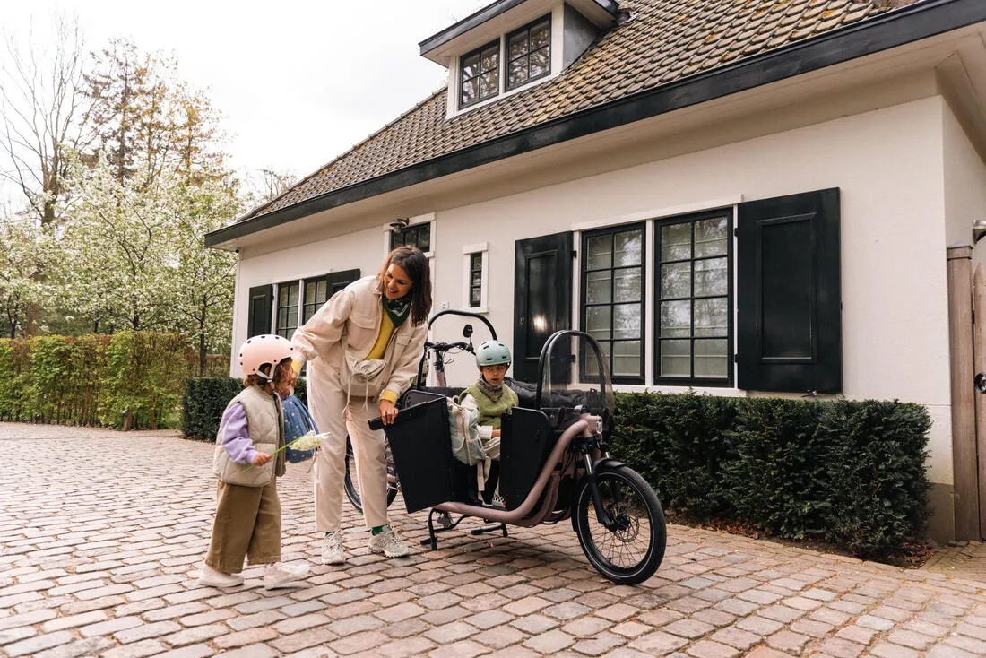 Velo cargo electrique biporteur famille f900e taupe