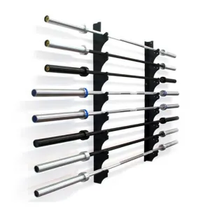Wall Mounted 10 Bar Rack (Gun rack)