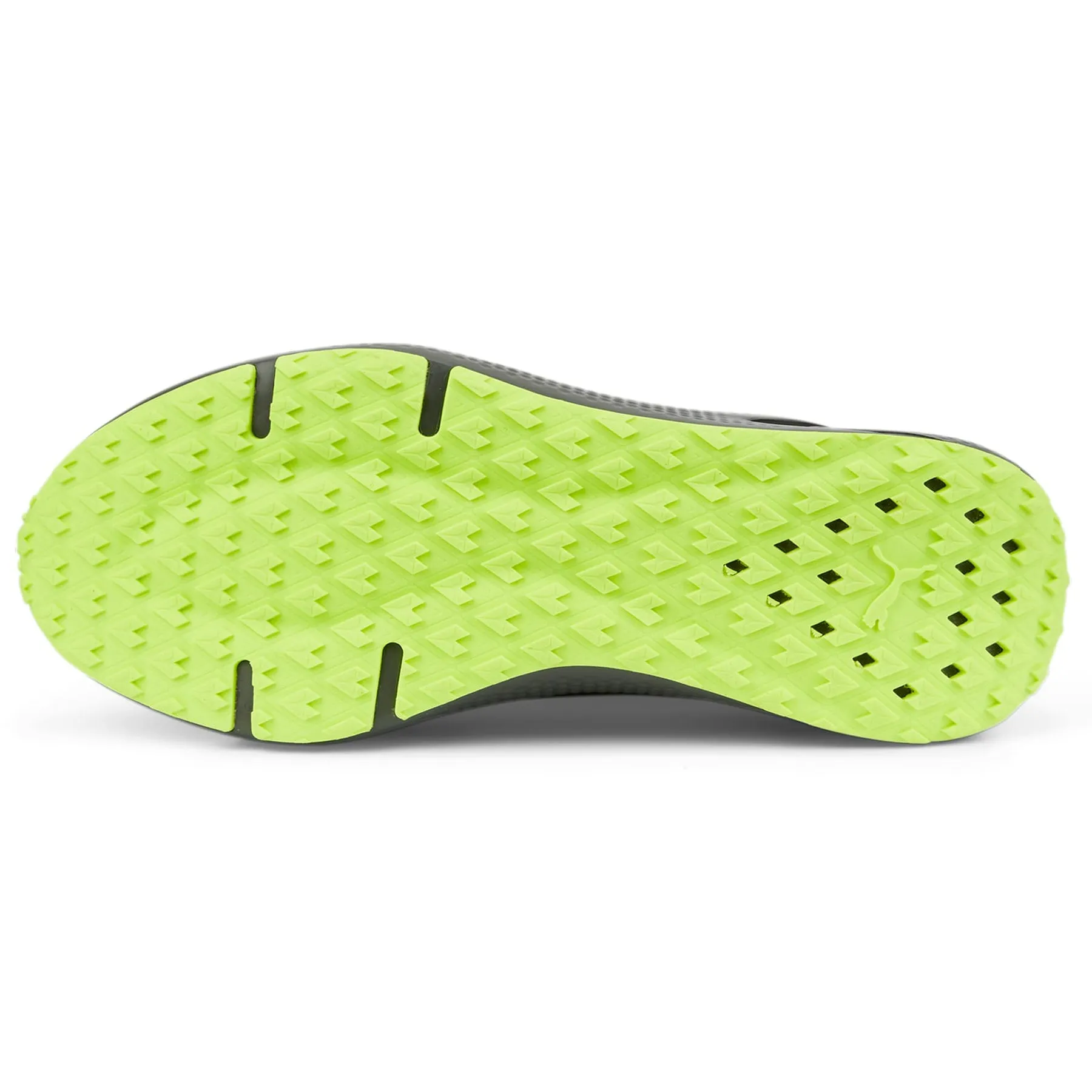 Zapatillas Puma Hombre Training Softride Pro Coast | 377059-06